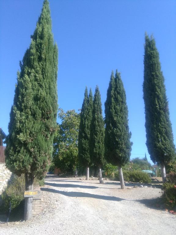 Affittacamere Casa ai Carfini Poggibonsi Esterno foto