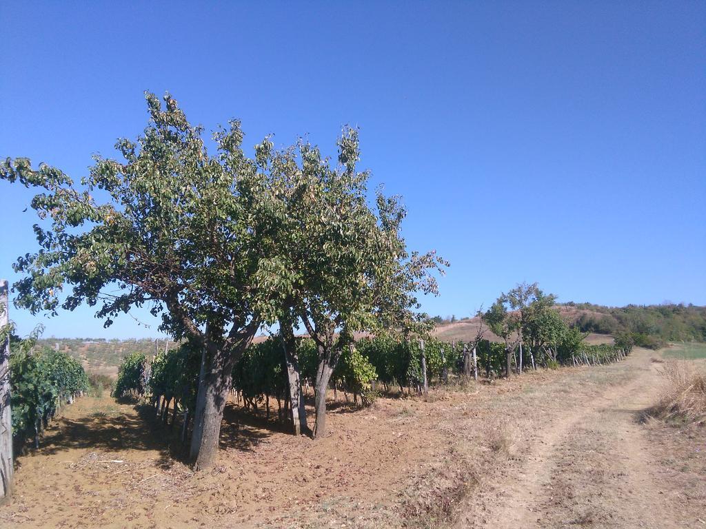 Affittacamere Casa ai Carfini Poggibonsi Esterno foto